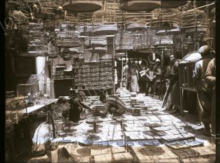 Chinese Bird Sellers & Cage Makers 1900s China Glass Negative Photo