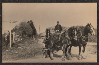 19320 Tresillion Between Tregony & Truro Horse Cart Rp Postcard Farming Cornwall