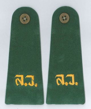 Scouts Of Thailand - Girl Scouts (guides) Epaulettes Patch (pair) (no Sign)
