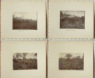 1900 - 1910 PHOTO ALBUM NYASALAND LIVINGSTONE BRUCE PLANTATION COTTON WORKERS 11