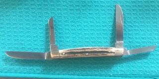 German Eye Congress Stag Handle Solingen Steel Folding Pocket Knife 56 - DS 4