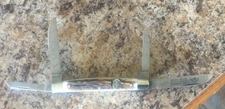 German Eye Congress Stag Handle Solingen Steel Folding Pocket Knife 56 - DS 6
