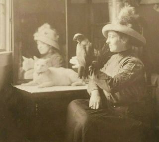 Vintage 1910s Victorian Woman Mirror Parrot Pet Cat Portrait Photo Rppc