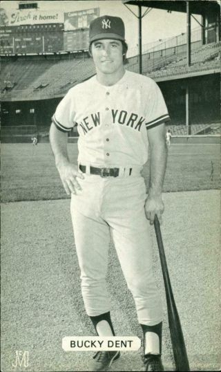 J D Mc Carthy Baseball Postcard Bucky Dent York Yankees