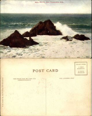 Seal Rocks San Francisco California C1910 Vintage Postcard