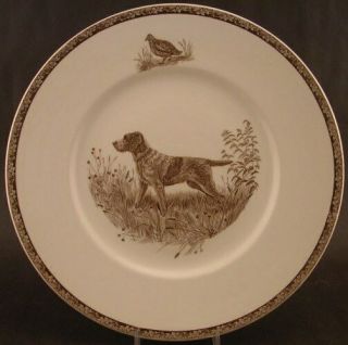 Vintage Wedgwood China American Sporting Dog Plates Wirehaired Griffon Plate