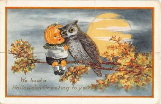 C.  1915 Pumpkin Headed Child & Owl On Branch Full Moon Halloween Postcard Whitney