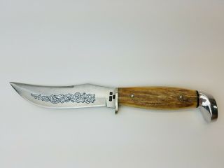 1977 Case Xx Usa 523 - 5 Blue Scroll Stag Fixed - Blade Hunter Knife