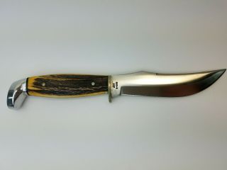 1977 CASE XX USA 523 - 5 Blue Scroll Stag Fixed - Blade Hunter Knife 2