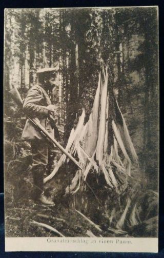 Postcard Wwi German Soldier With Grenade Shattered Tree Printed Photo