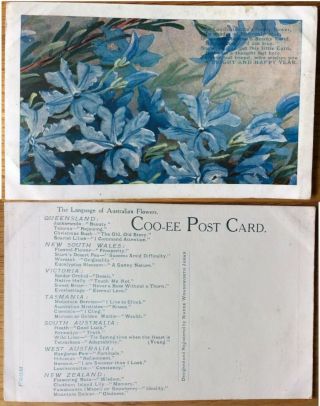 Vintage Postcard,  Australian,  Language Of Flowers,  Coo - Ee Card,  Maude James