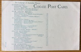 Vintage Postcard,  Australian,  Language Of Flowers,  Coo - ee Card,  Maude James 3