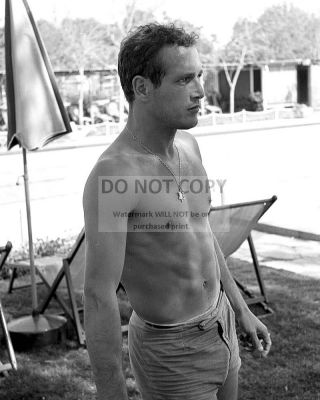 Paul Newman Legendary Actor - 8x10 Publicity Photo (bb - 573)