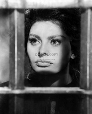 Sophia Loren In The 1961 Film " El Cid " - 8x10 Publicity Photo (zz - 342)