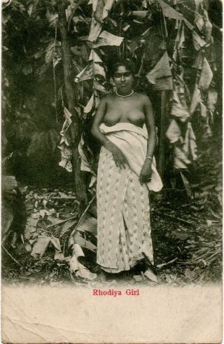 Ceylon Sri Lanka Semi Nude Rodiya Girl Undivided Back Pc Early 1900s