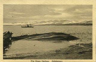Norway,  Spitsbergen Svalbard,  Fra Green Harbour,  Whaling (1912) Postcard