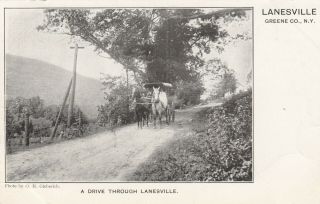 Postcard Lanesville Ny Horse & Buggy Ca 1904 Undivided Back