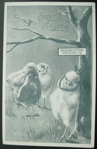 Easter Greetings Baby Chicks Debarkation Hospital 3 Postcard 1919 York