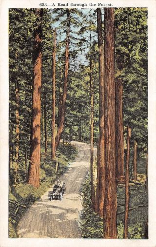 Q23 - 1974,  A Road Thru The Forest.  Postcard.