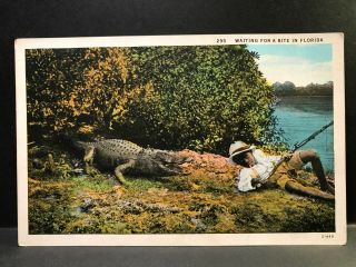 Postcard Black Americana - Waiting For A Bite In Florida - Boy Fishing Alligator