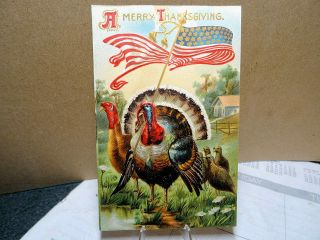 1909 Postcard Embossed Thanksgiving Big Tom Turkey Hold The Flag Series 258