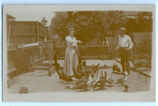 Woman Feeding Chickens,  Ducks; Real Photo Postcard Rppc C.  1915