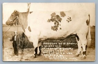 Exaggerated N.  Dakota Cow Antique Real Photo Postcard Rppc Farm Montage Collage