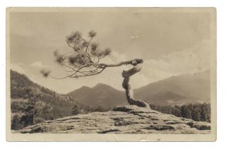 Rppc Boulder Co Colorado Tree Mountains Real Photo Vintage Postcard 1920s