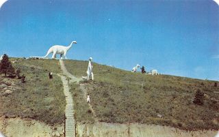 Q23 - 1535,  Dinodaur Park In Rapid City,  Black Hills,  Sd. ,  Postcard.