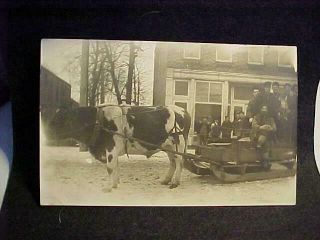 Vintage,  Rppc 6 Men Bundled Up On Wood Sled Pulled By " Huge " Oxen - Cumberland.