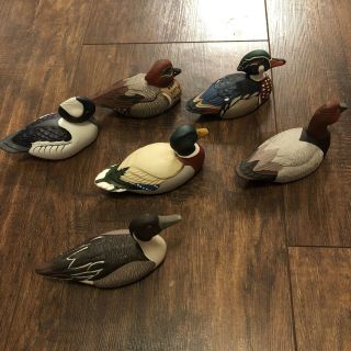 Avon Collector Duck Series Set Of 6 From 1983 And 1984