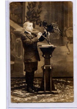 Studio Real Photo Postcard Rppc - Boy With Taxidermy Bird On Stand