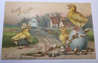 Vintage Easter Postcard Douglas Co.  Publisher Chicks & Suitcase,