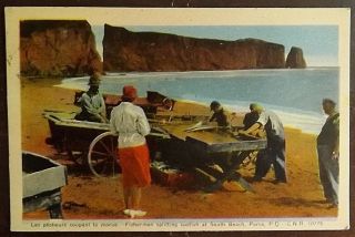 1945 Fisherman Splitting Codfish South Beach Perce P.  Q.  Canada Vintage Postcard