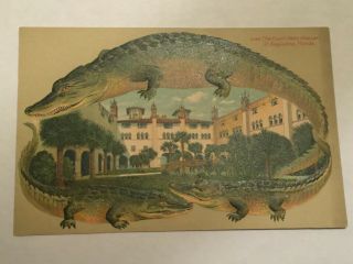 Vintage Alligator Border Postcard The Court Hotel Alcazar St Augustine Florida