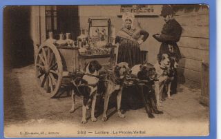 1912c Belgium Milk Cart Pulled By Dogs With Policeman Vintage Postcard