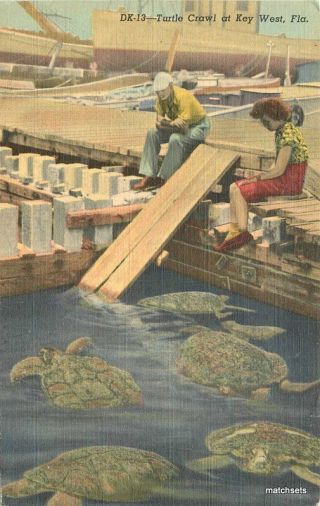1953 Key West Florida Turtle Crawl Dade Teich Linen Postcard 10171