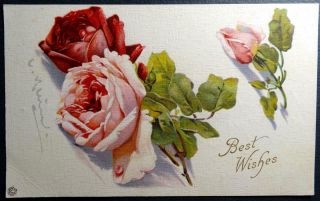 Postcard Artist Signed C.  Klein (catherine) Best Wishes Red Pink Roses