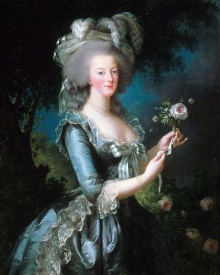 11x14 Photo: Rose Portrait Of Marie Antoinette,  Queen Of France And Navarre