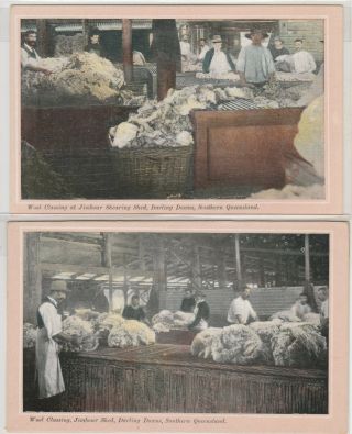 Vintage Postcard 2x Q.  I.  T.  Bureau Wool Classing At Jimbour Darling Downs Qld1910s