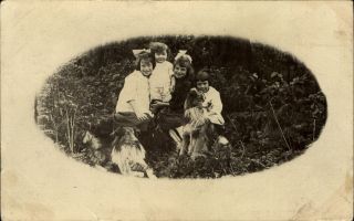 Lassie Type Long Haired Collie Dogs Cute Young Edwardian Girls Rppc 1904 - 1920s