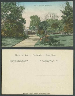 China Old Hand Tinted Postcard Public Garden Shanghai Path Leading To Greenhouse