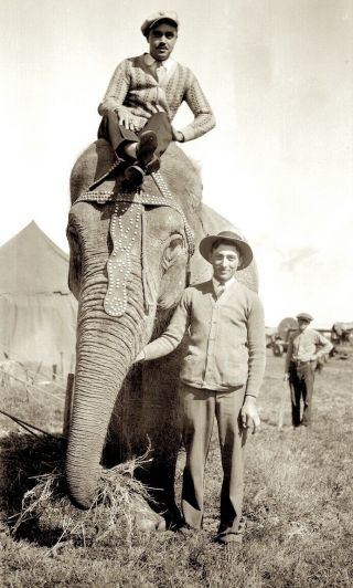 1920s Era Photo Negative Sells Floto Traveling Circus Elephant Act And Trainer