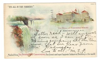 1906 Advertisement Shredded Wheat Cereal Pmc Postcard Niagara Falls Ny