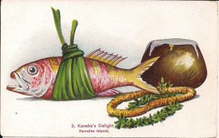Hi,  Territory Of Hawaii,  Kanaka Fish Cuisine,  Private Mailing Card Pmc,  Ca.  1900