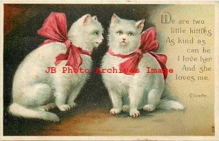 Otto Schloss No 619,  Two White Cats With Red Ribbons,  Clivette Poem