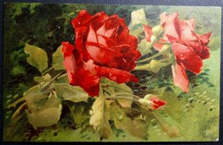Postcard Artist Unsigned C.  Klein (catherine) Red Roses 1909