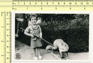 020 1960s Kid Girl W Toy Rifle Gun & Fox Taxidermy Portrait Old Photo