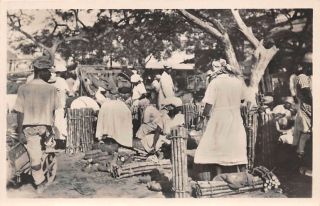 Barbados,  Bwi Workers & The Sugarcane Harvest,  Real Photo Pc,  C.  1910 - 20