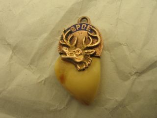 Large Antique Bpoe Elks Lodge Rose Gold And Enamel Elks Tooth Watch Fob